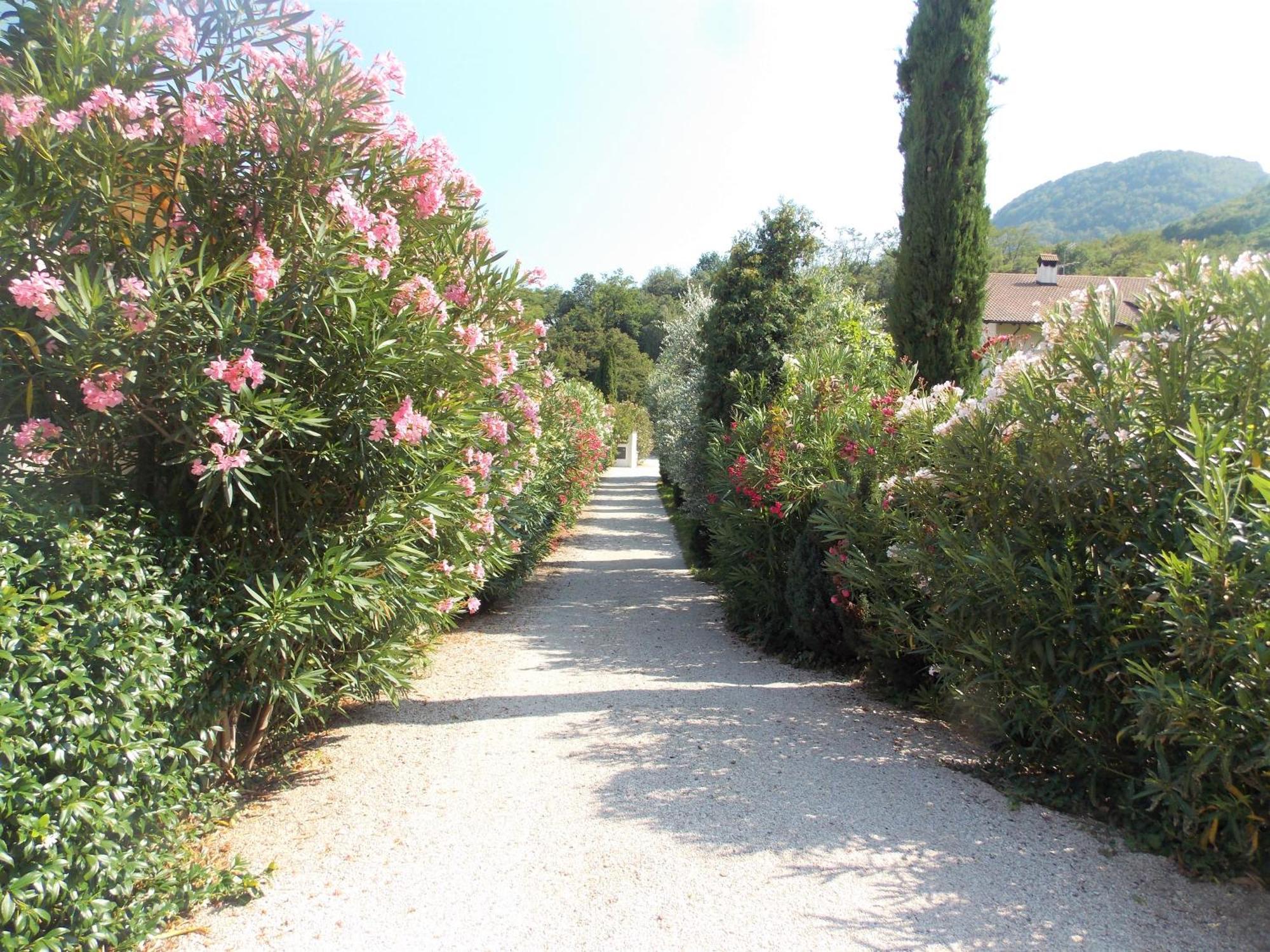 St. Josefhof Appartement Caldaro Buitenkant foto